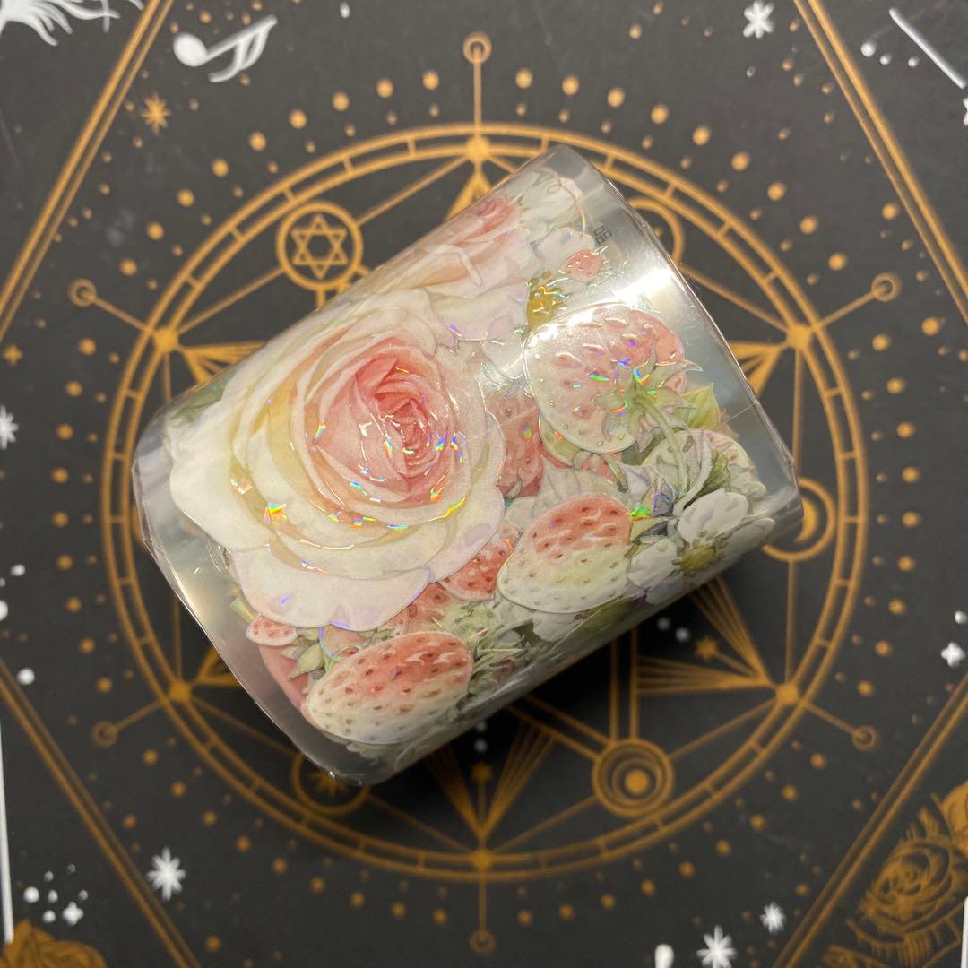 【C】海外　10m巻　貝殻光マスキングテープ　動物/お花/装飾/背景系