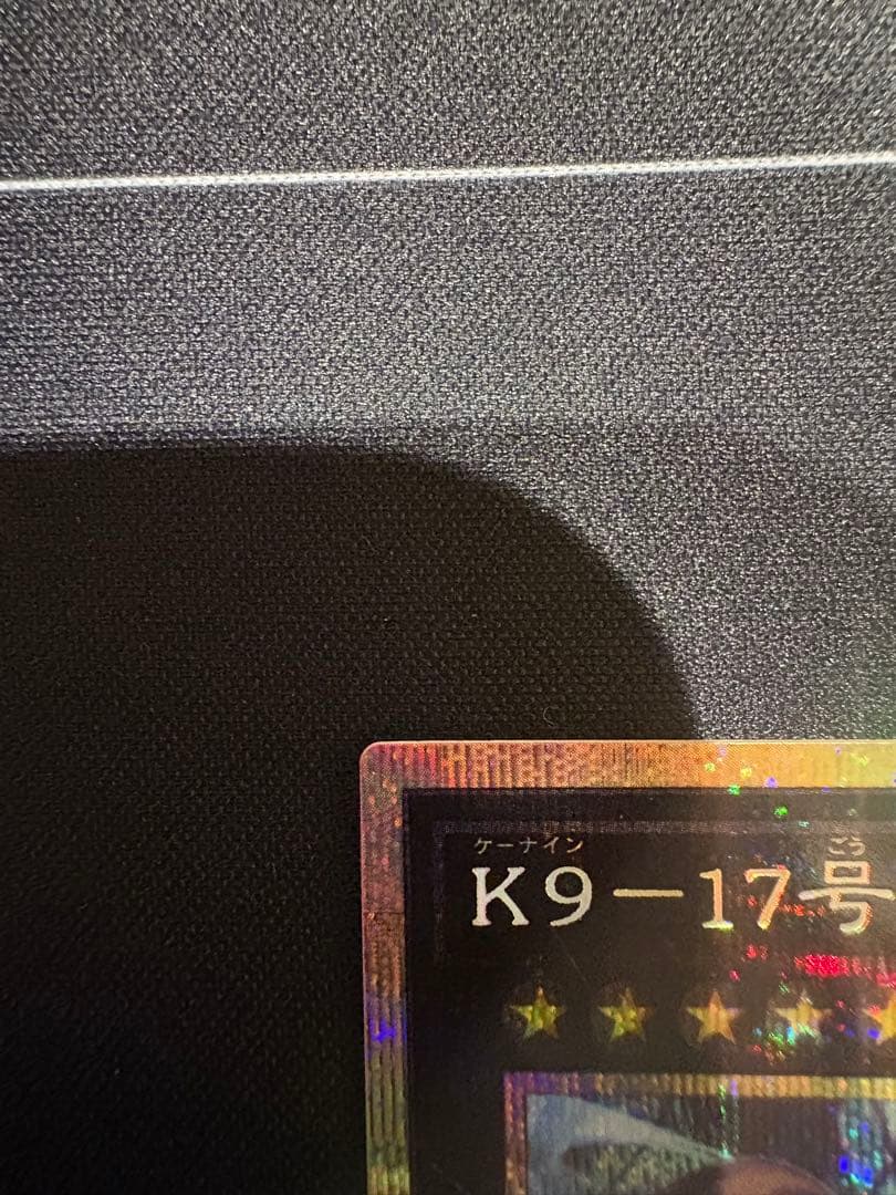 K9-17号 \"Ripper\" プリシク