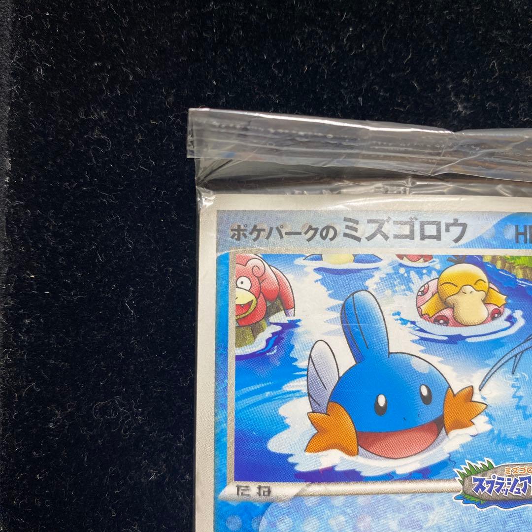 ポケパークのミズゴロウ 048/PCG スプラッシュアドベンチャー　ポケカ