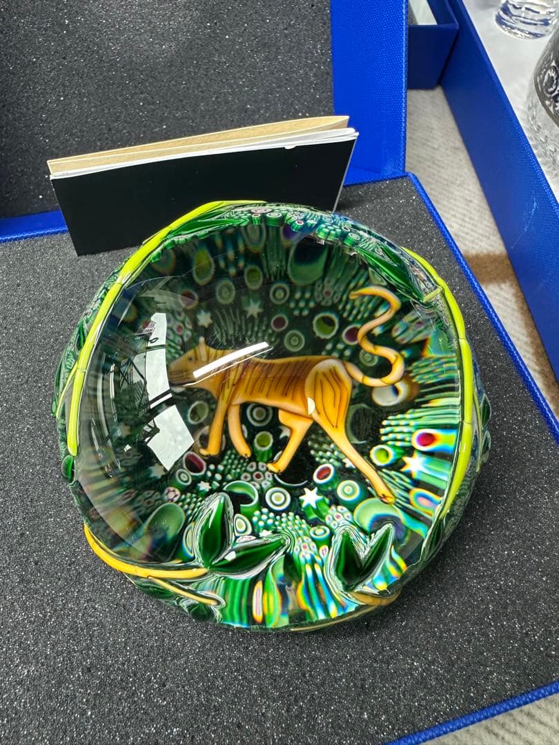 Hermes SAINT LOUIS 虎 新品未使用