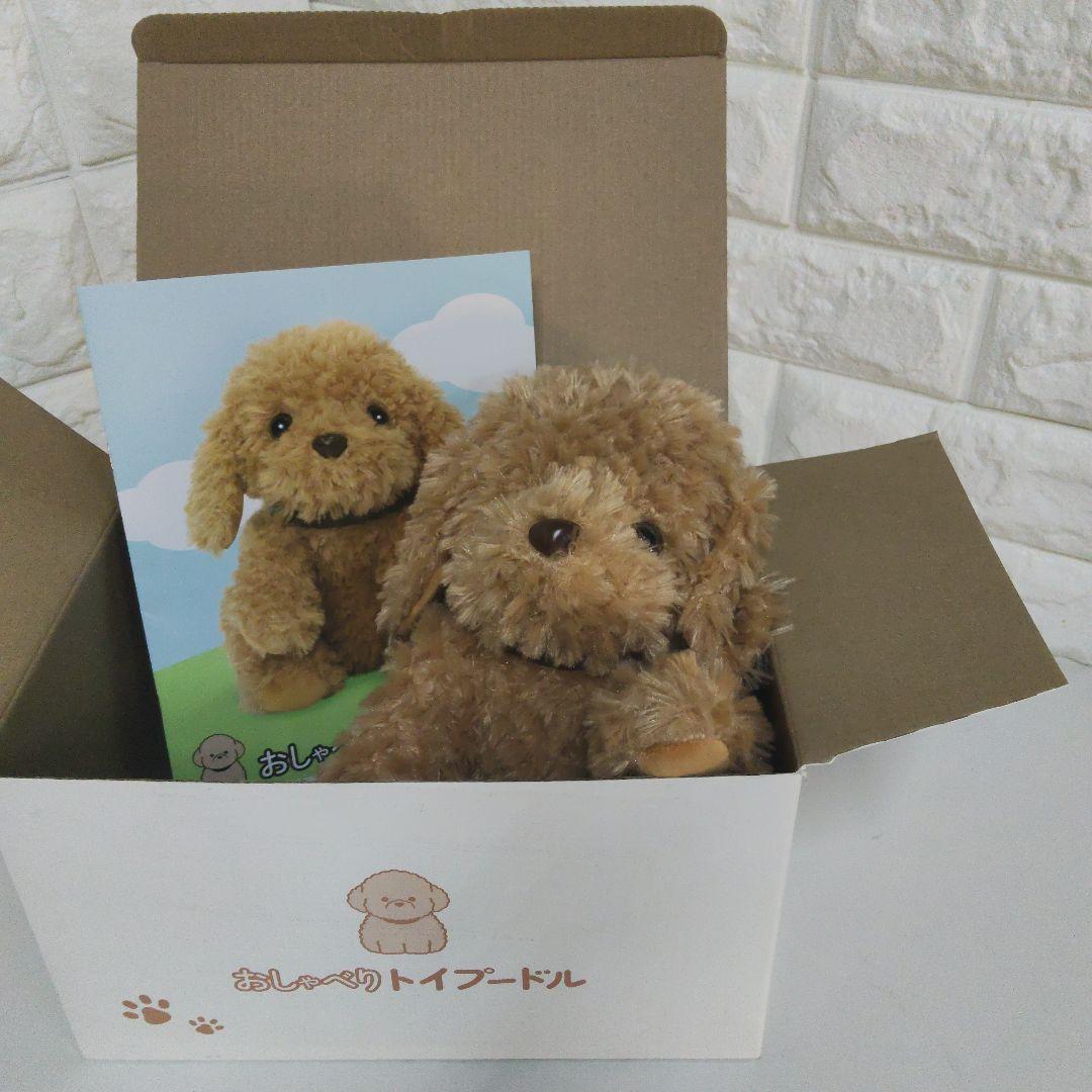 音声認識ぬいぐるみ おしゃべりトイプードル　ショップチャンネル