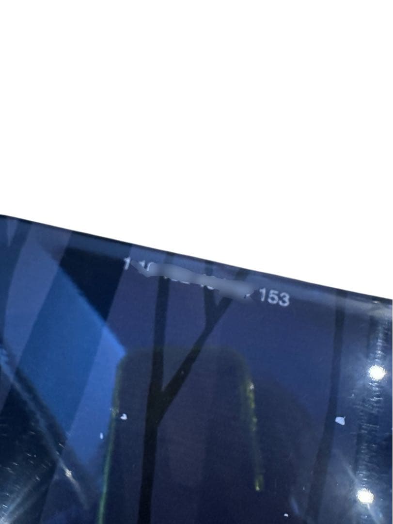 GENTENSTICK ゲンテンスティック 花井祐介　midfish