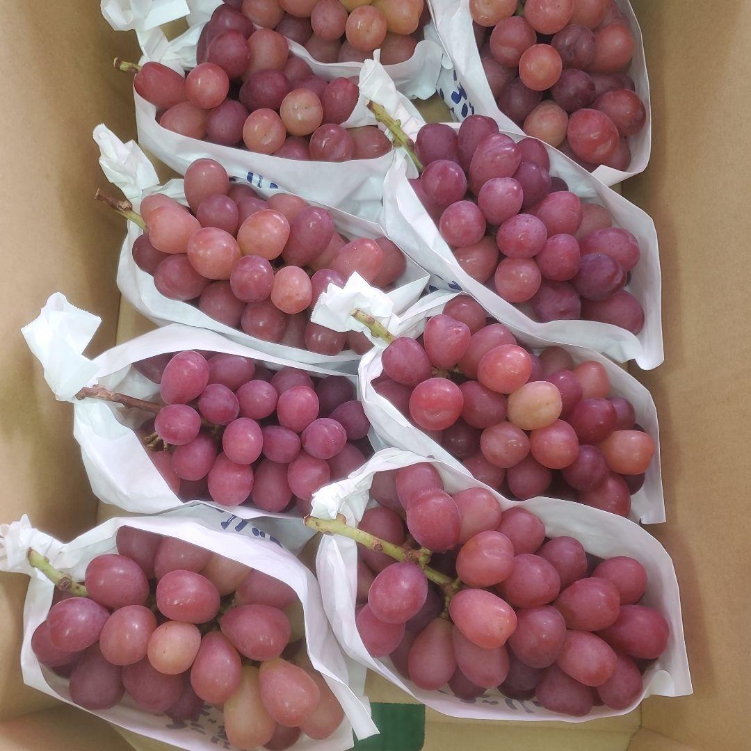 1⃣0️⃣山梨県産 マイハート ９房入り 箱込み5.7キロ