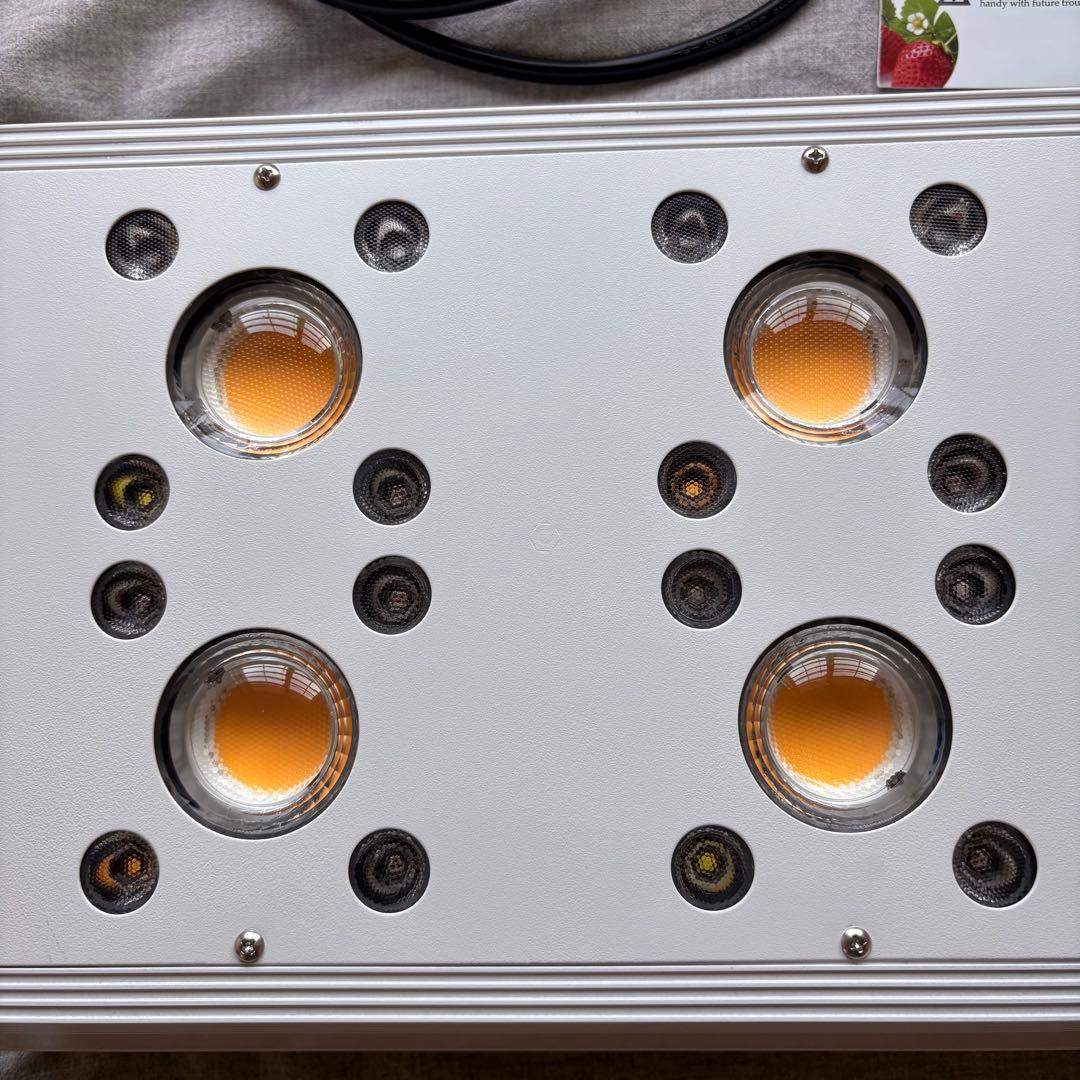 hipargero HG800 2台　育成ライト　バラ売り可能