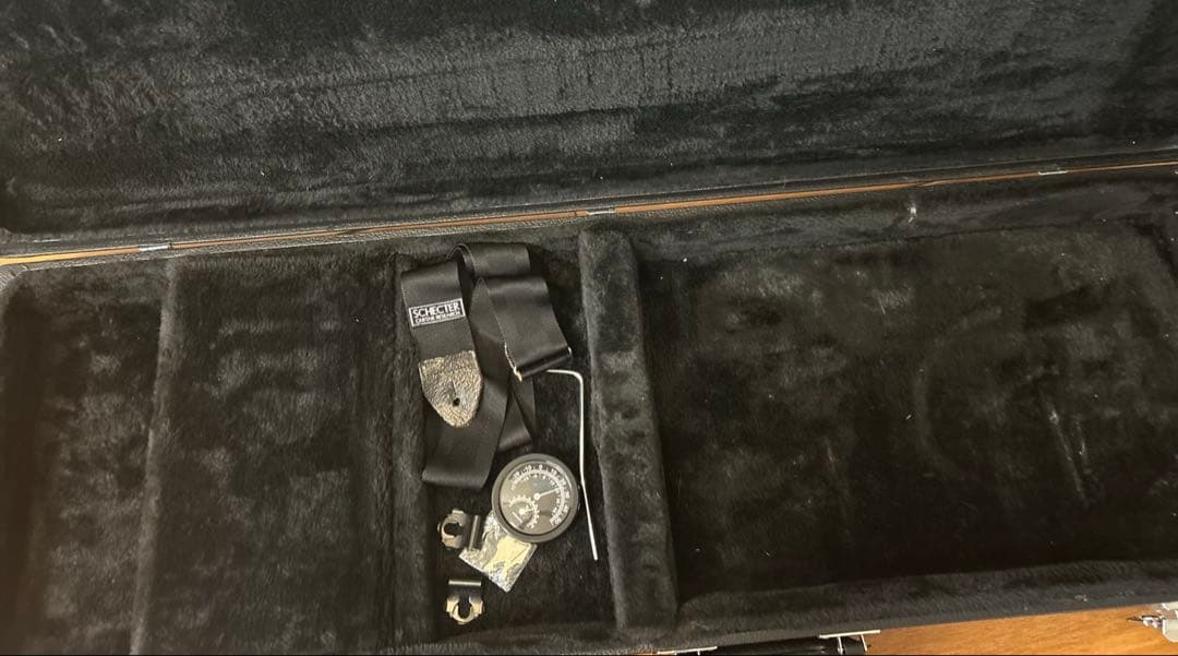 Schecter SD-2-24 美品 PU交換済(中古ダンカン、ディマジオ