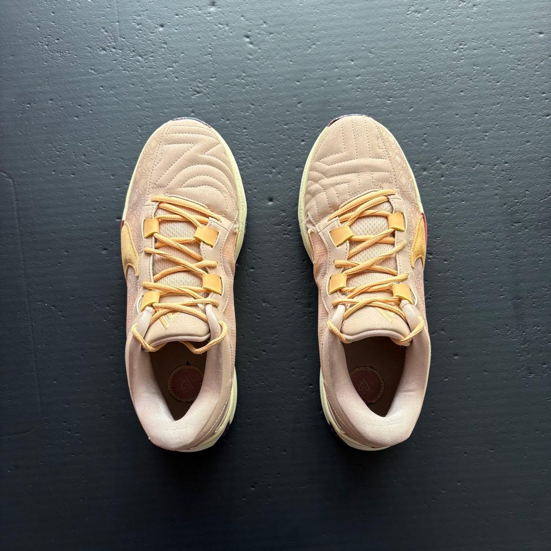 NIKE zoom フリーク5 27.5cm