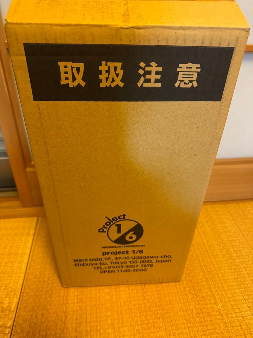 KAWS COMPANION FLAYED OPEN EDITION 未開封