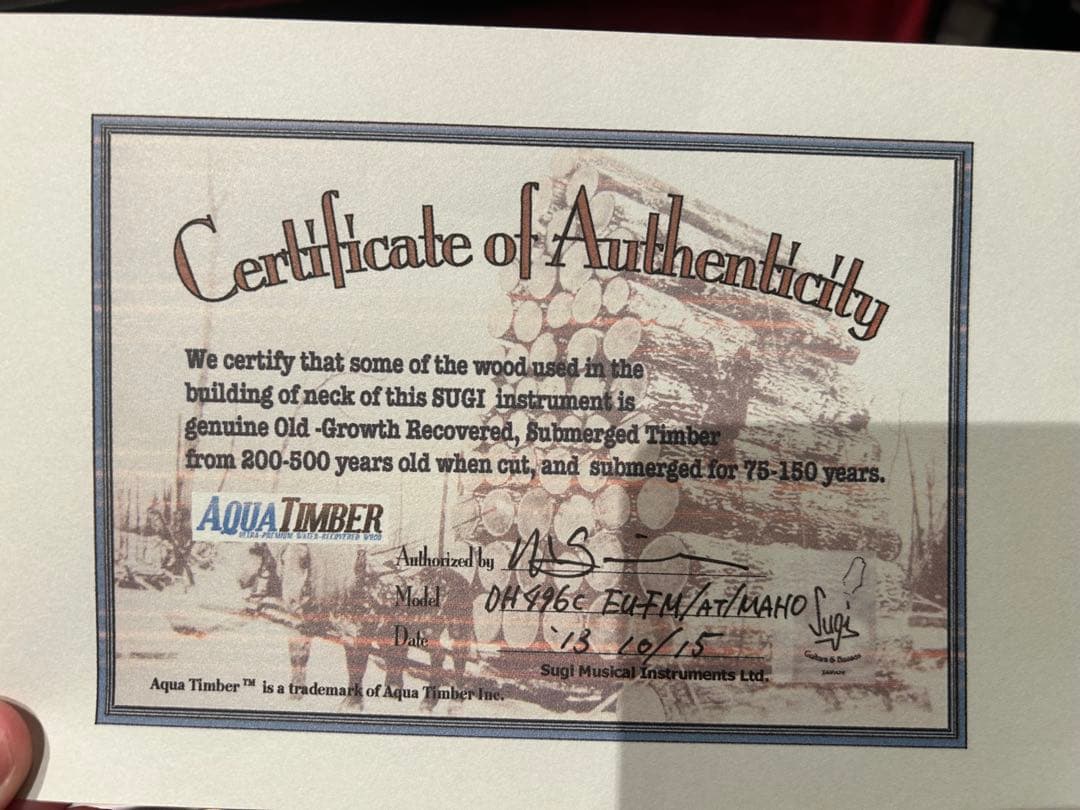 ギター Sugi DH496C