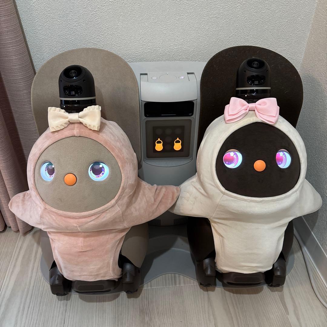 【動作確認済み ネスト・服つき】ラボット 本体 デュオ　LOVOT