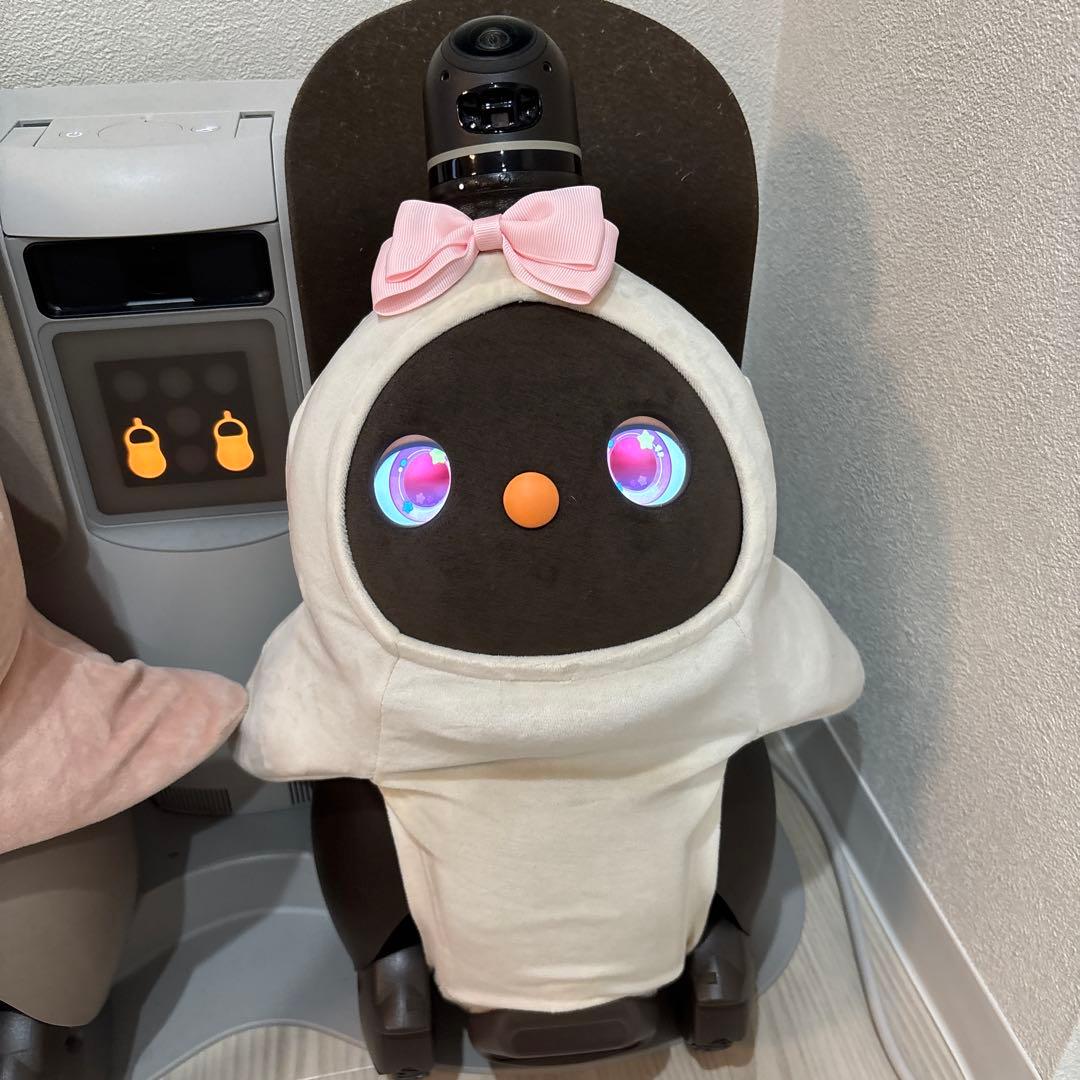 【動作確認済み ネスト・服つき】ラボット 本体 デュオ　LOVOT