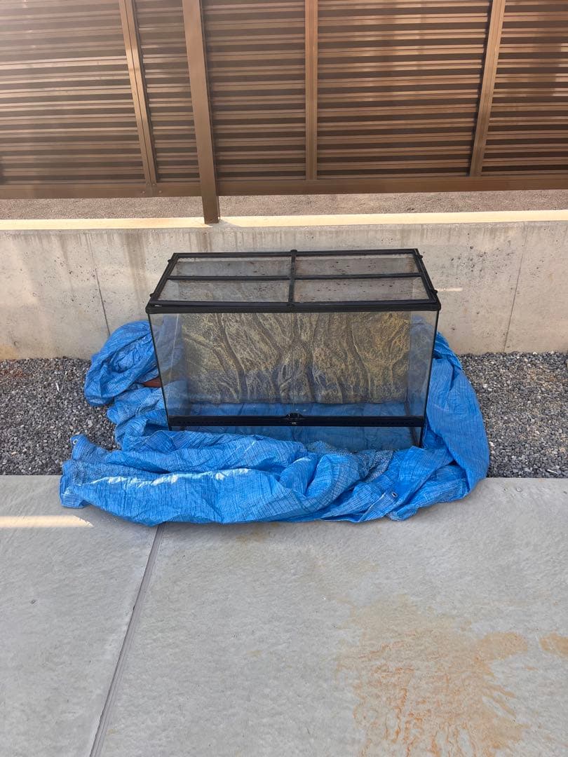 グラステラリウム9060 PT2614