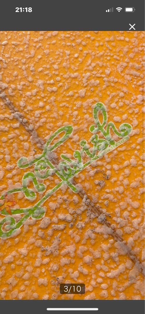 mactavish girls ロングボード サーフボード