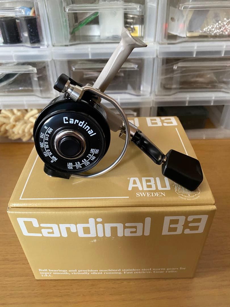 ディスプラウトカーディナルB3