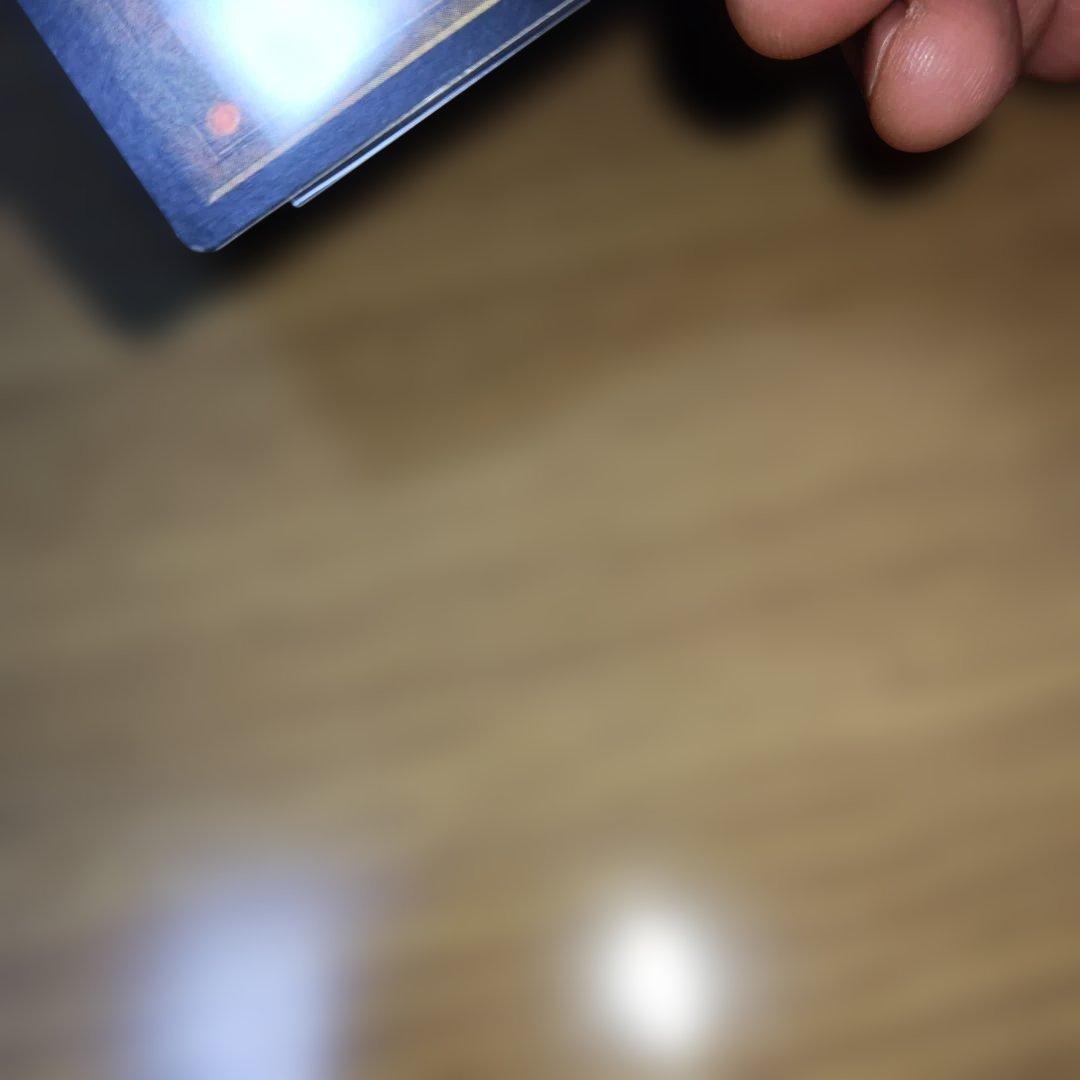 フェアリーの忌み者　日本語　foil