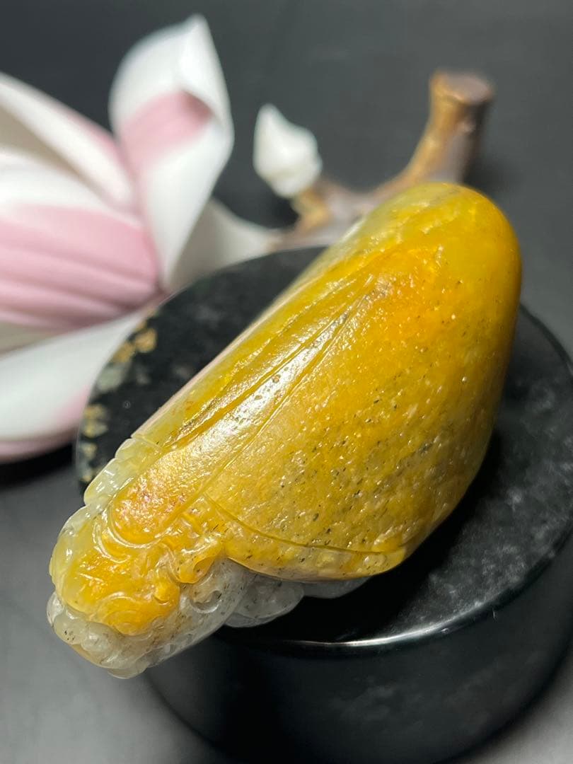 本物和田玉★籽料★青花黄皮！招財モチーフ龍亀証明書付き