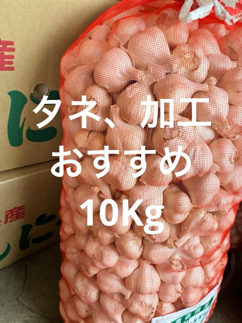 訳あり　青森県にんにく10Kg ML