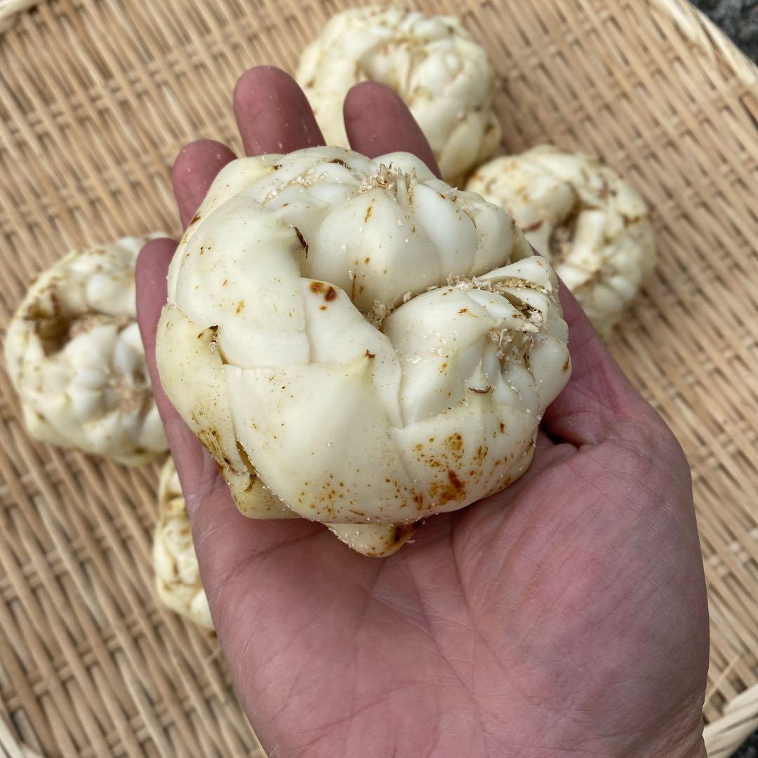 aoi_soranomukou出品