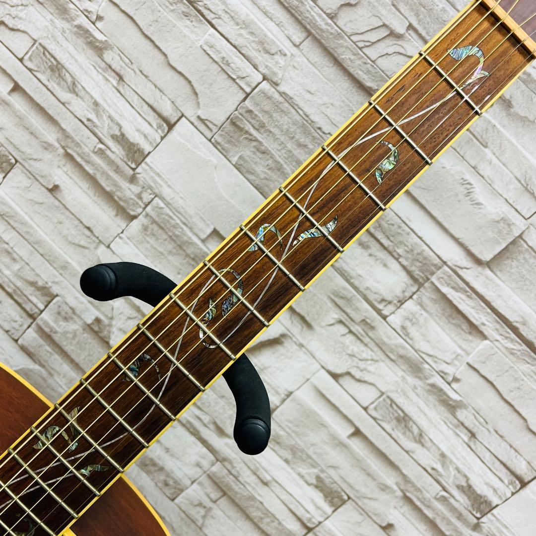 Ibanez アコースティックギター Artwood AC50MH-RLG