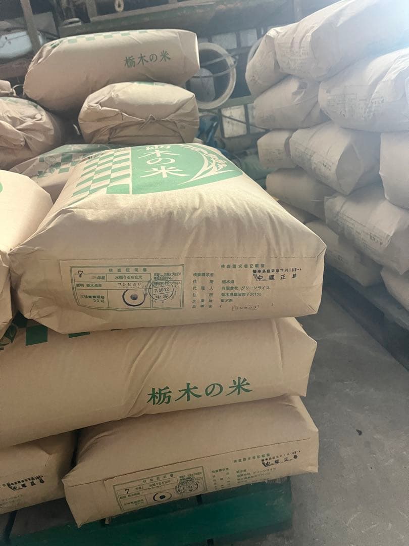 栃木県産こしひかり