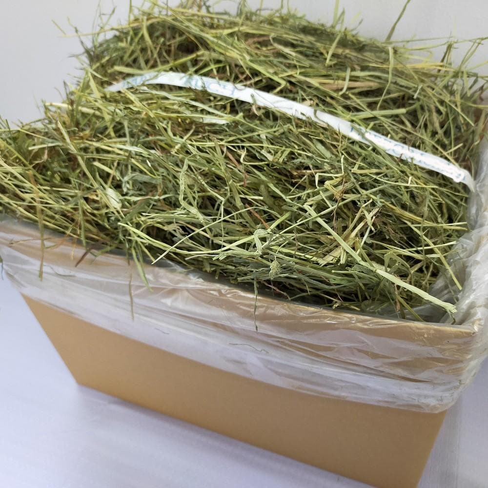 【処分価格】US産 チモシー 75kg ２番刈 ソフトSプレミアム