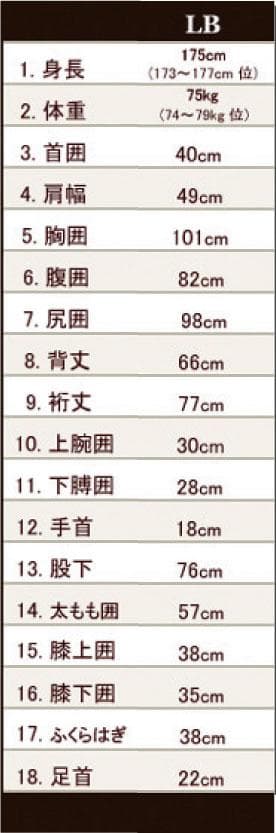 国内生産/ALL3mロングジョン/クラッシックスタイル/メンズLbサイズ