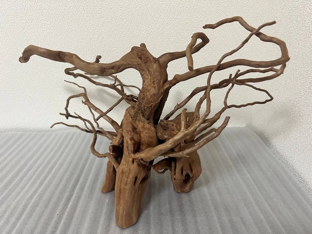 32613 ブランチウッド　流木　アクアリウム