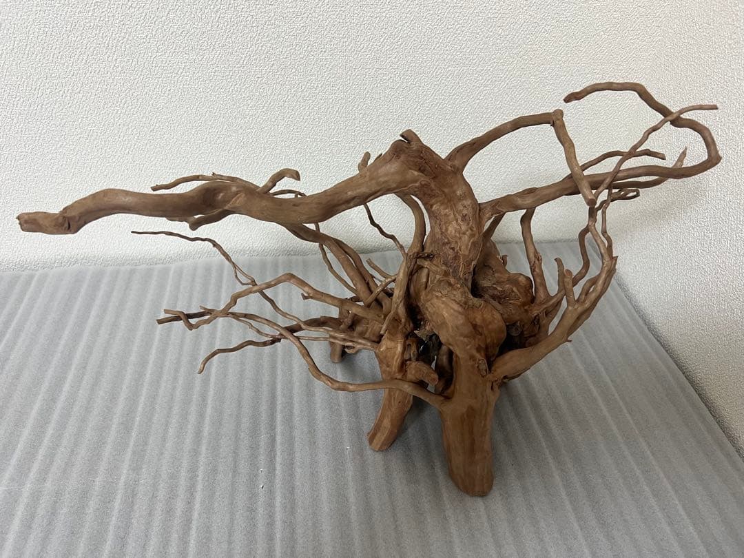 32613 ブランチウッド　流木　アクアリウム