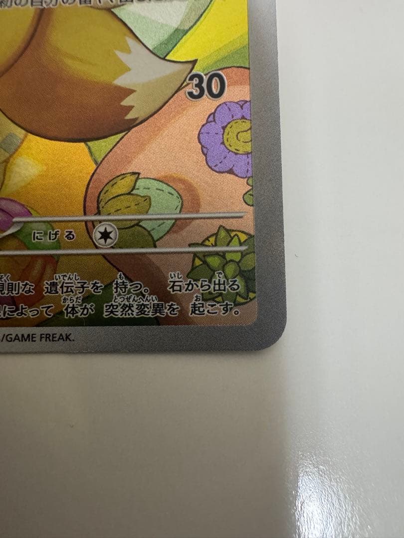 イーブイARデッキセット