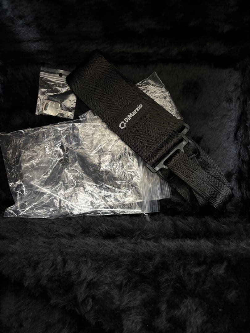 極美品 Washburn N4 Authentic ClipLock付き本人仕様