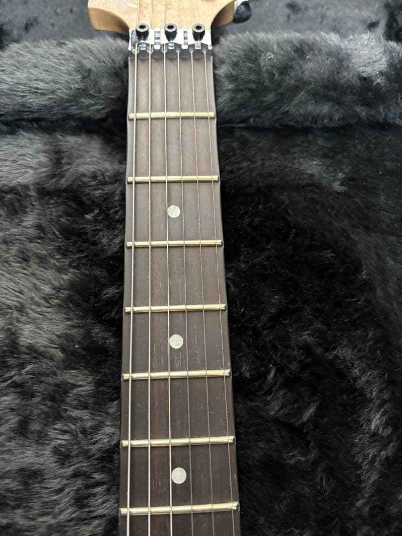 極美品 Washburn N4 Authentic ClipLock付き本人仕様