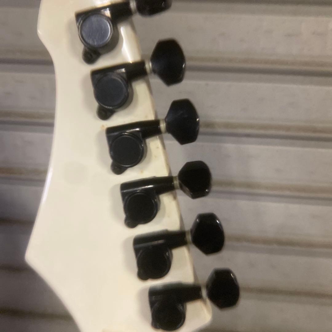 Black Dog by Aria Pro Ⅱ オフホワイト