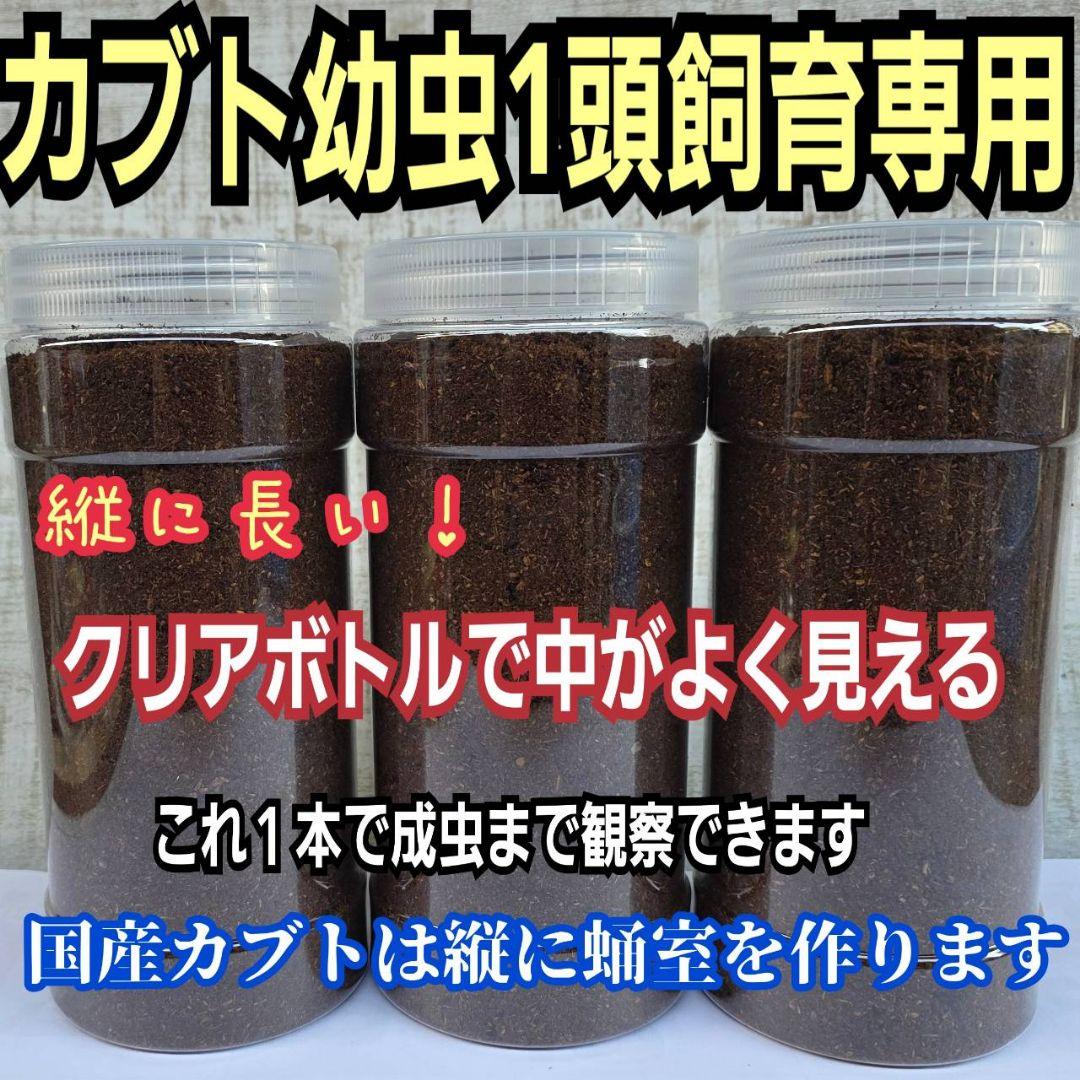 発酵マット入り！国産カブトムシ幼虫1頭飼育専用縦長クリアボト【20本セット】