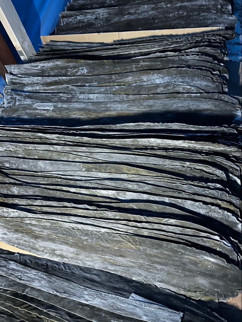 旧南茅部産 真昆布 最高級銘柄 2年育成の希少品