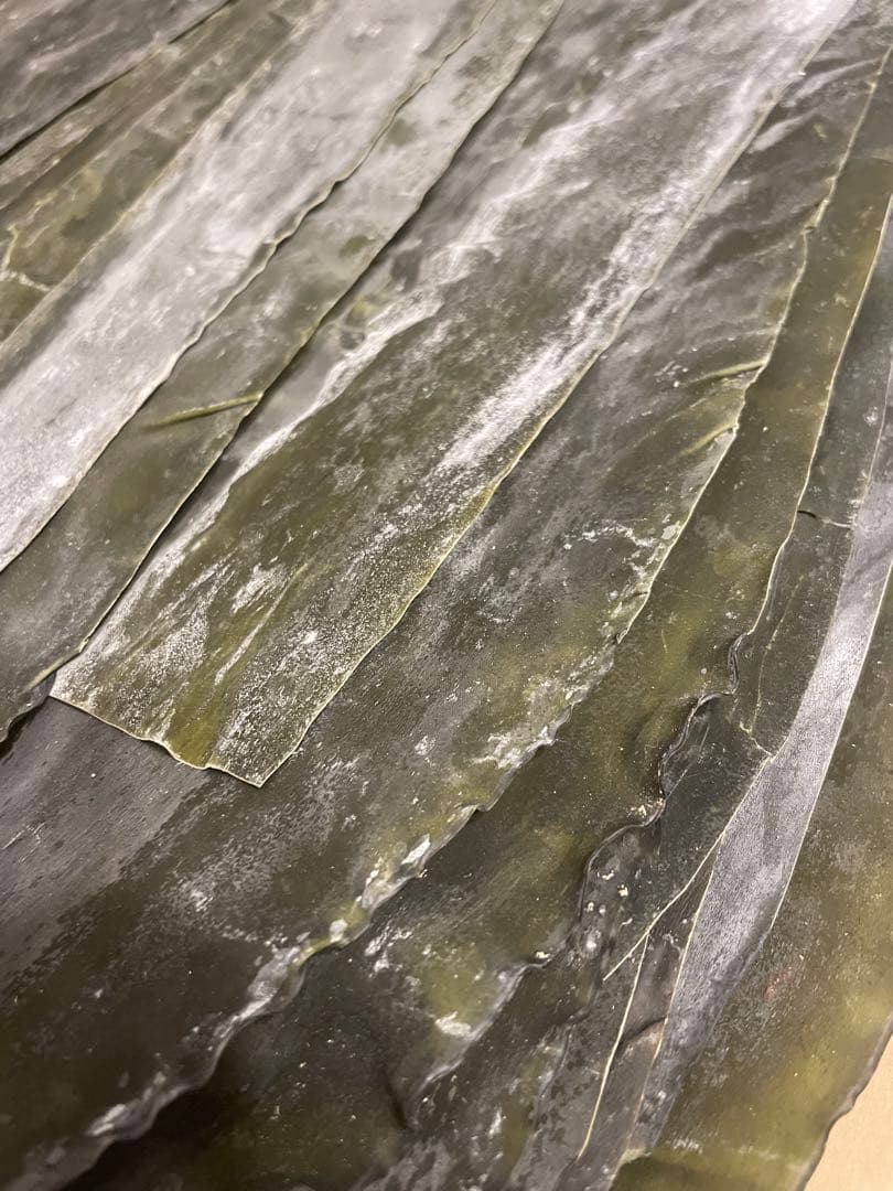 旧南茅部産 真昆布 最高級銘柄 2年育成の希少品