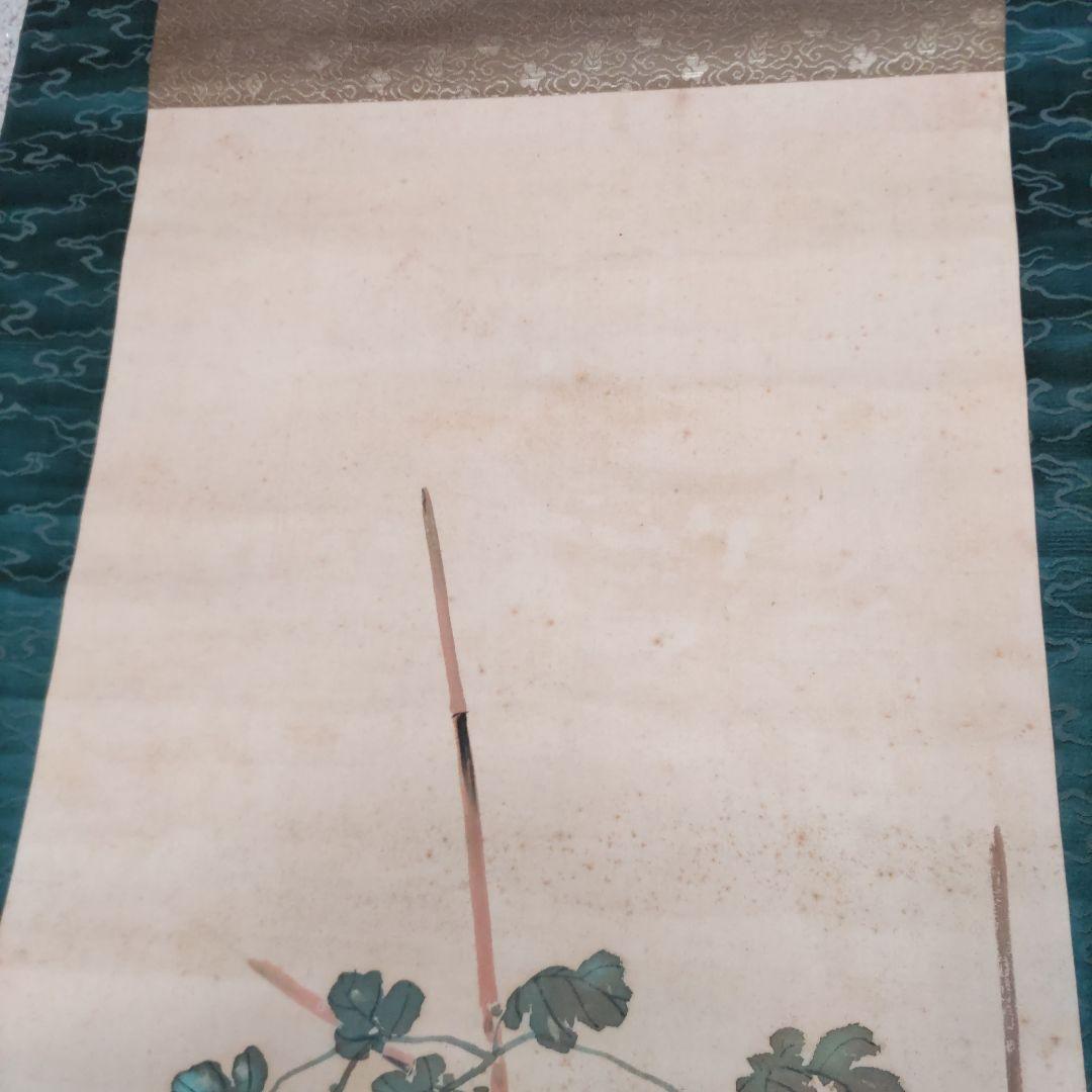 菊に鶏の掛軸　H60