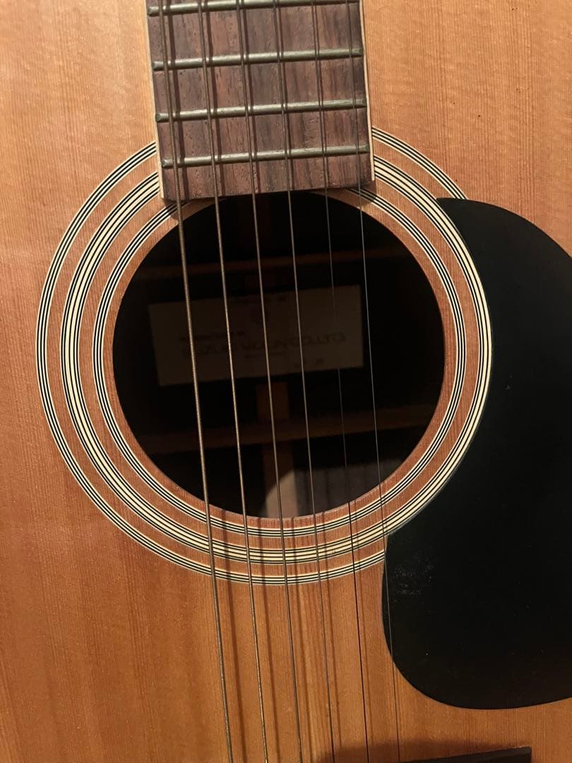 アコースティックギター SUZUKI VIOLIN