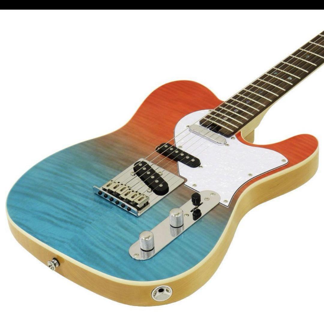 Aria Evergreen Aria Pro II限定モデルオリジナルケース付