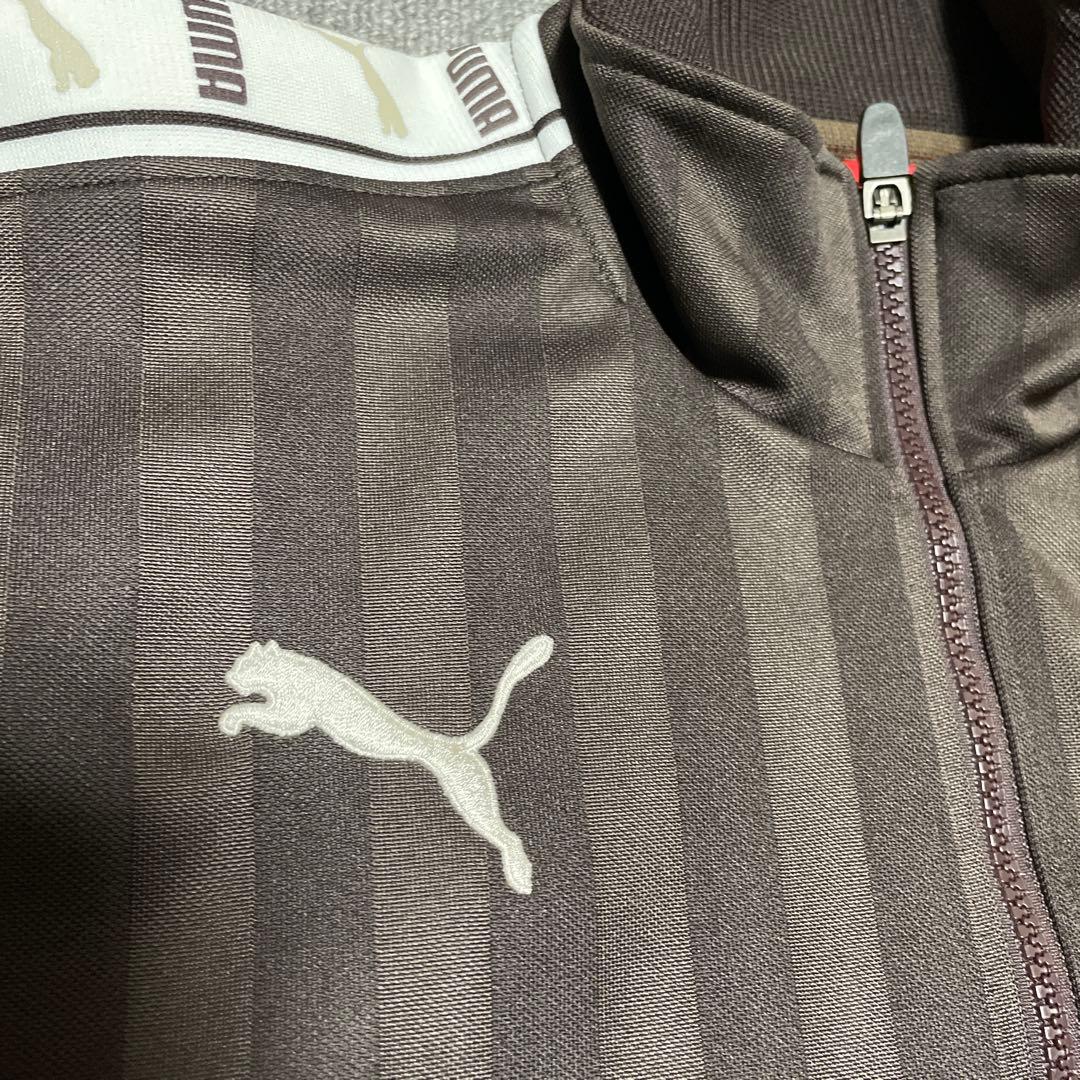 プージャ　ブラウン　上下セットアップ　茶色　プーマ　ジャージ