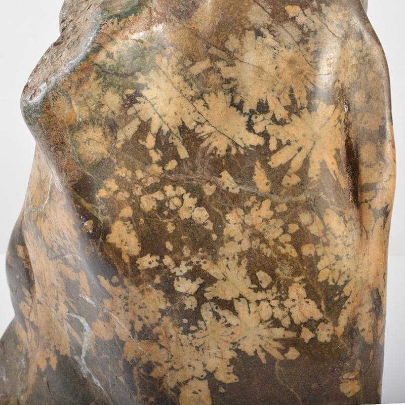 天然石　鑑賞石　菊花石　置物　重さ約3.5kg　唐木台付　V　R6416