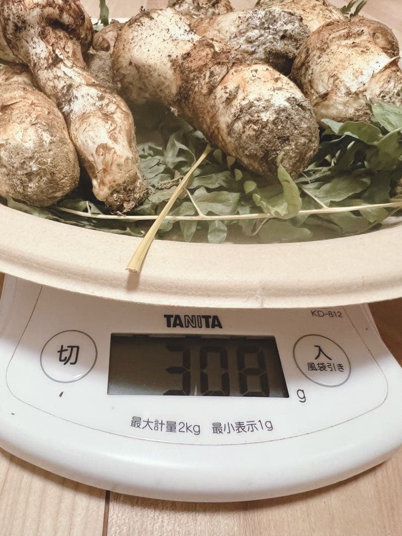 信州産　松茸　300g超え‼︎早い者勝ち！（訳あり含む）