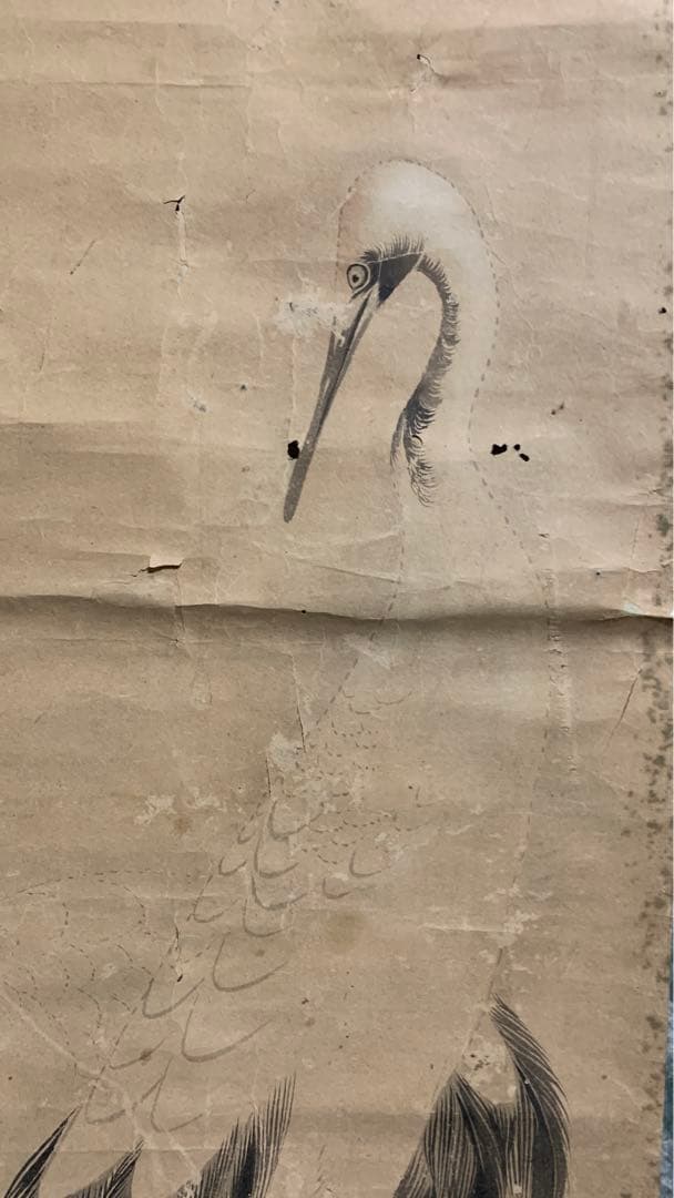 ⑦江戸時代？　雌雄双鶴之図　信香先生筆　古い水墨画　まくり　額入り可能