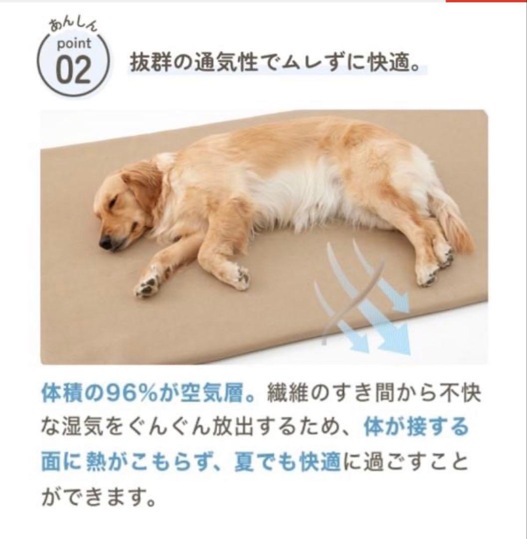 犬用　高反発ベッドクッション　Mサイズ