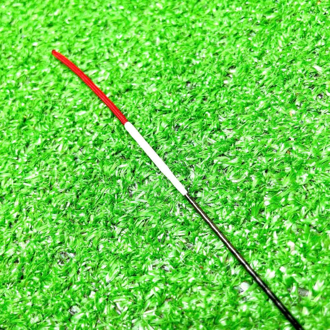 美品！DAIWA　ダイワ　アモルファスウィスカー　吟遊　中硬硬100 鮎　鮎釣り