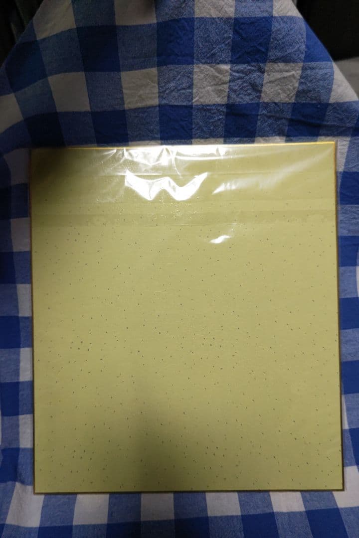 マクロスF ランカ・リー 直筆サイン色紙「中島愛」