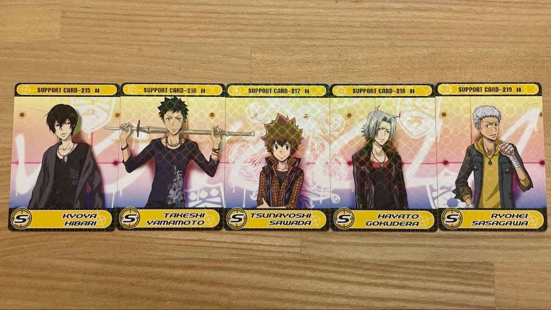 家庭教師ヒットマンREBORN サザンクロスバトル　ツナ　雲雀　獄寺　山本　笹川