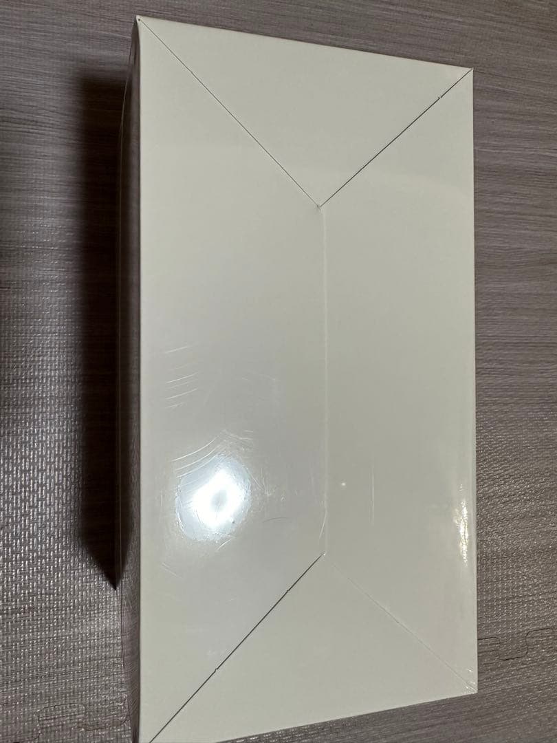 LABUBU THE MONSTERS Big into Energy ラブブ