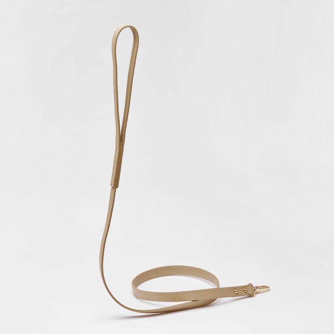 OVER GLAM 首輪＆リードセット Sサイズ