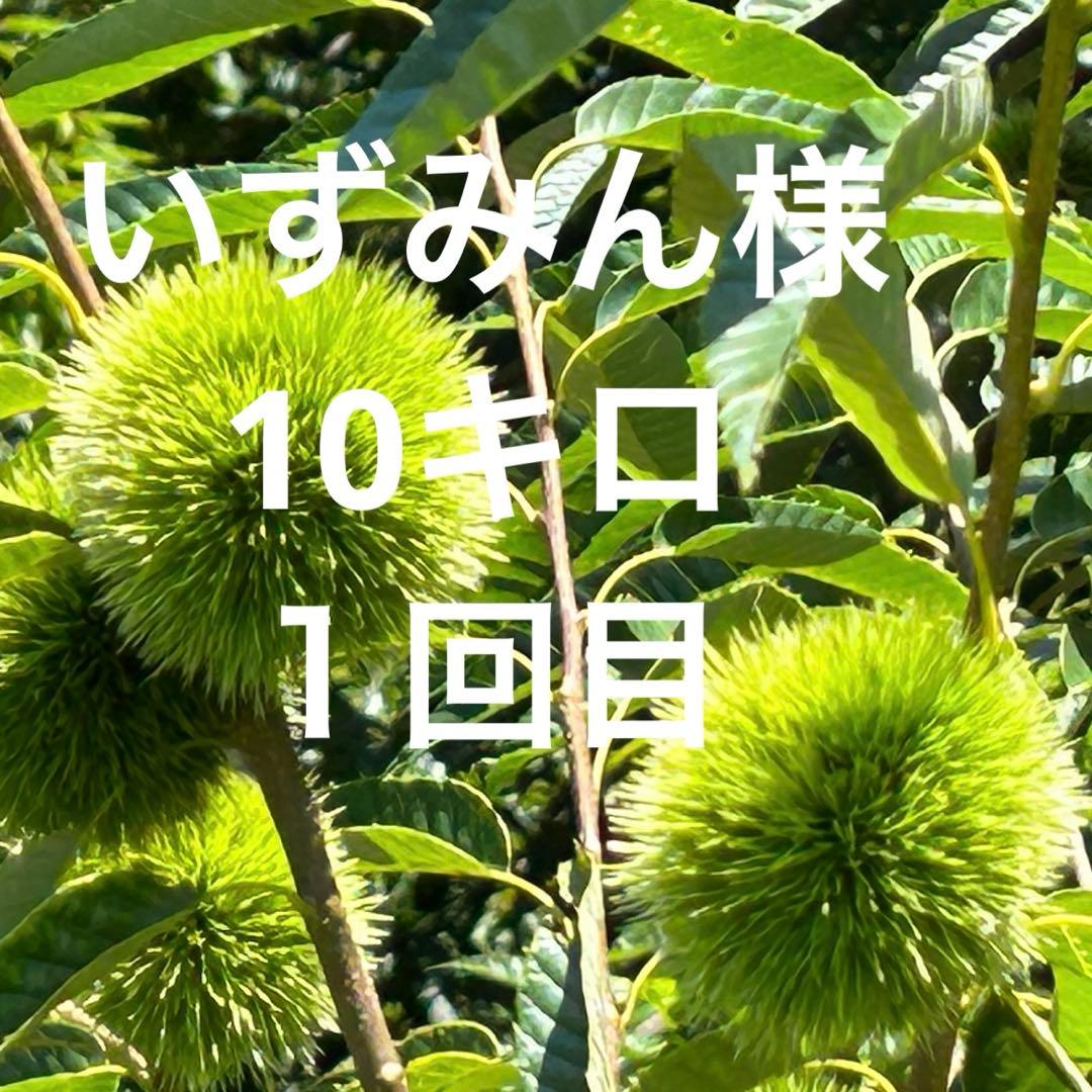 いずみん様　生栗　10キロ　①