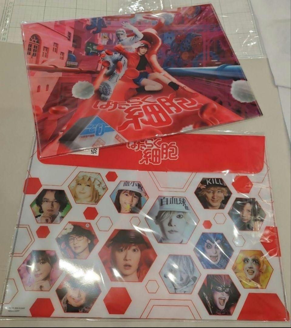 はたらく細胞　映画グッズ