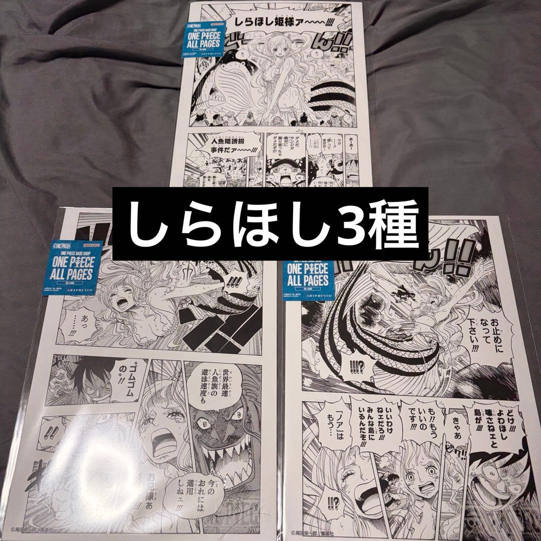 ONE PIECE ALL PAGES（B5） 魚人島編　しらほし　3枚セット